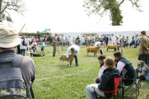 Newbury Showground: A Guide to Events and Exhibitions - We Pack & Store